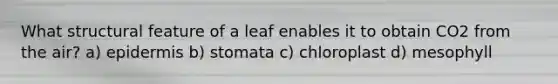 What structural feature of a leaf enables it to obtain CO2 from the air? a) epidermis b) stomata c) chloroplast d) mesophyll