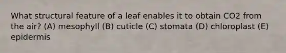 What structural feature of a leaf enables it to obtain CO2 from the air? (A) mesophyll (B) cuticle (C) stomata (D) chloroplast (E) epidermis