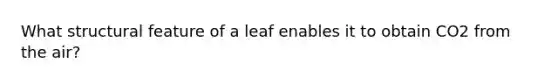 What structural feature of a leaf enables it to obtain CO2 from the air?