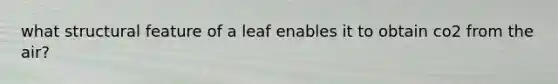 what structural feature of a leaf enables it to obtain co2 from the air?