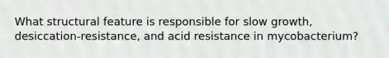 What structural feature is responsible for slow growth, desiccation-resistance, and acid resistance in mycobacterium?