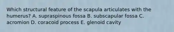 Which structural feature of the scapula articulates with the humerus? A. supraspinous fossa B. subscapular fossa C. acromion D. coracoid process E. glenoid cavity