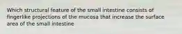 Which structural feature of the small intestine consists of fingerlike projections of the mucosa that increase the surface area of the small intestine