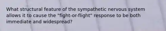 What structural feature of the sympathetic nervous system allows it to cause the "fight-or-flight" response to be both immediate and widespread?