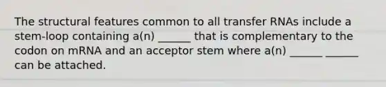 The structural features common to all transfer RNAs include a stem-loop containing a(n) ______ that is complementary to the codon on mRNA and an acceptor stem where a(n) ______ ______ can be attached.