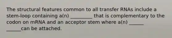 The structural features common to all transfer RNAs include a stem-loop containing a(n) _________ that is complementary to the codon on mRNA and an acceptor stem where a(n) ______ ______can be attached.