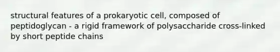 structural features of a prokaryotic cell, composed of peptidoglycan - a rigid framework of polysaccharide cross-linked by short peptide chains