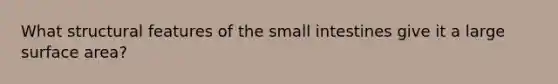 What structural features of the small intestines give it a large surface area?