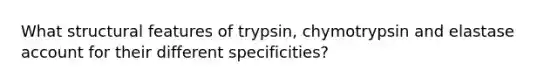 What structural features of trypsin, chymotrypsin and elastase account for their different specificities?