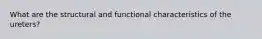 What are the structural and functional characteristics of the ureters?