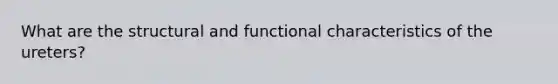 What are the structural and functional characteristics of the ureters?