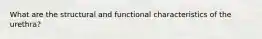 What are the structural and functional characteristics of the urethra?