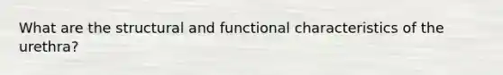 What are the structural and functional characteristics of the urethra?