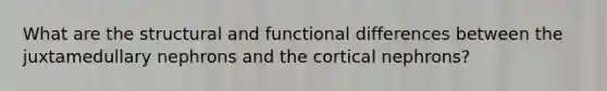 What are the structural and functional differences between the juxtamedullary nephrons and the cortical nephrons?