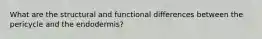 What are the structural and functional differences between the pericycle and the endodermis?