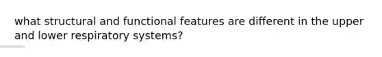 what structural and functional features are different in the upper and lower respiratory systems?