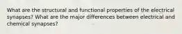 What are the structural and functional properties of the electrical synapses? What are the major differences between electrical and chemical synapses?