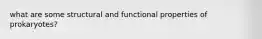 what are some structural and functional properties of prokaryotes?