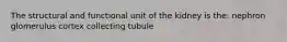 The structural and functional unit of the kidney is the: nephron glomerulus cortex collecting tubule