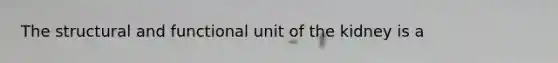 The structural and functional unit of the kidney is a