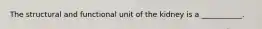 The structural and functional unit of the kidney is a ___________.