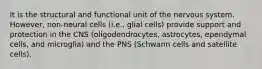 It is the structural and functional unit of the nervous system. However, non-neural cells (i.e., glial cells) provide support and protection in the CNS (oligodendrocytes, astrocytes, ependymal cells, and microglia) and the PNS (Schwann cells and satellite cells).