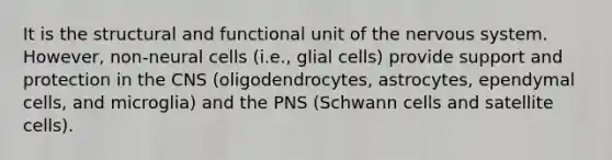 It is the structural and functional unit of the nervous system. However, non-neural cells (i.e., glial cells) provide support and protection in the CNS (oligodendrocytes, astrocytes, ependymal cells, and microglia) and the PNS (Schwann cells and satellite cells).