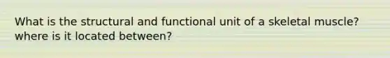 What is the structural and functional unit of a skeletal muscle? where is it located between?