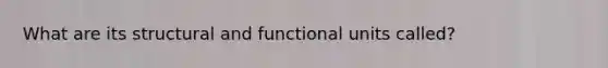 What are its structural and functional units called?