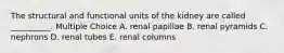 The structural and functional units of the kidney are called __________. Multiple Choice A. renal papillae B. renal pyramids C. nephrons D. renal tubes E. renal columns