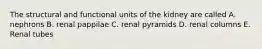 The structural and functional units of the kidney are called A. nephrons B. renal pappilae C. renal pyramids D. renal columns E. Renal tubes