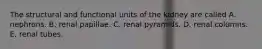 The structural and functional units of the kidney are called A. nephrons. B. renal papillae. C. renal pyramids. D. renal columns. E. renal tubes.