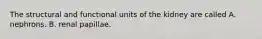 The structural and functional units of the kidney are called A. nephrons. B. renal papillae.