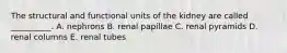 The structural and functional units of the kidney are called __________. A. nephrons B. renal papillae C. renal pyramids D. renal columns E. renal tubes