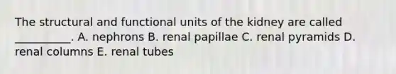 The structural and functional units of the kidney are called __________. A. nephrons B. renal papillae C. renal pyramids D. renal columns E. renal tubes