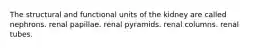 The structural and functional units of the kidney are called nephrons. renal papillae. renal pyramids. renal columns. renal tubes.