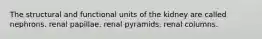 The structural and functional units of the kidney are called nephrons. renal papillae. renal pyramids. renal columns.