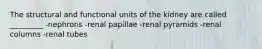 The structural and functional units of the kidney are called _________ -nephrons -renal papillae -renal pyramids -renal columns -renal tubes