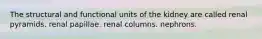 The structural and functional units of the kidney are called renal pyramids. renal papillae. renal columns. nephrons.