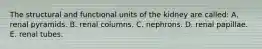 The structural and functional units of the kidney are called: A. renal pyramids. B. renal columns. C. nephrons. D. renal papillae. E. renal tubes.