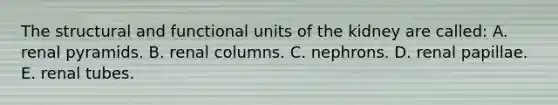 The structural and functional units of the kidney are called: A. renal pyramids. B. renal columns. C. nephrons. D. renal papillae. E. renal tubes.