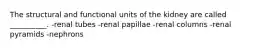 The structural and functional units of the kidney are called __________. -renal tubes -renal papillae -renal columns -renal pyramids -nephrons