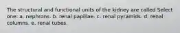 The structural and functional units of the kidney are called Select one: a. nephrons. b. renal papillae. c. renal pyramids. d. renal columns. e. renal tubes.