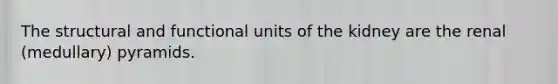 The structural and functional units of the kidney are the renal (medullary) pyramids.