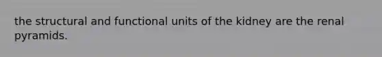 the structural and functional units of the kidney are the renal pyramids.