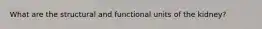 What are the structural and functional units of the kidney?