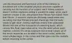 -are the structural and functional units of the kidneys (a functional unit is the smallest physical structure capable of carrying out the function of an organ) -each kidney contains about 1 million nephrons acting in parallel to make. urine -each nephron creates a cell- and protein-free filtrate from blood -from that filtrate, it recovers chemicals the body needs while also secreting into that filtrate selected chemicals that the body needs to get rid of -nearby nephrons empty their processed filtrate into one of the thousands of collecting ducts, which convey this fluid, now called urine, into the renal pelvis -each nephron consists of a renal corpuscle and a renal tubule -all of the renal corpuscles are located in the renal cortex, while the renal tubules begin in the cortex and then pass into the medulla before returning to the cortex