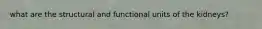 what are the structural and functional units of the kidneys?
