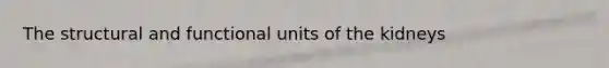 The structural and functional units of the kidneys