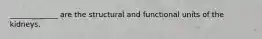 _____________ are the structural and functional units of the kidneys.